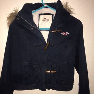 Hollister Winter Jacket